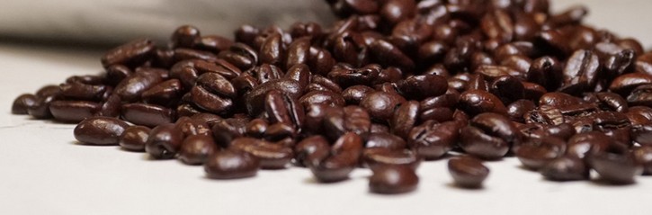 ĊR[q[MtgyUNI COFFEE ROASTERYzTCg